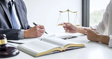 Litigation services