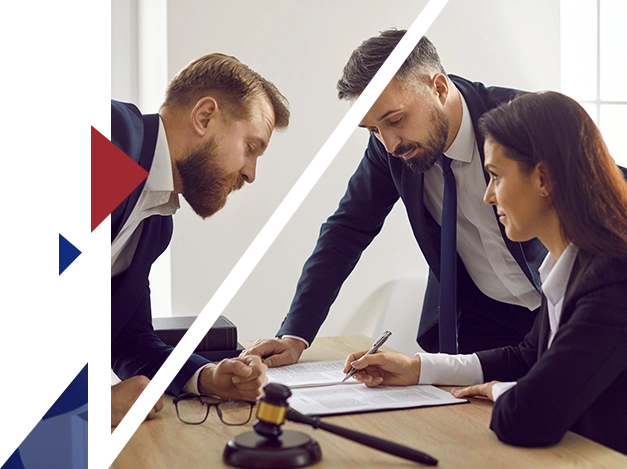 Litigation support solutions success