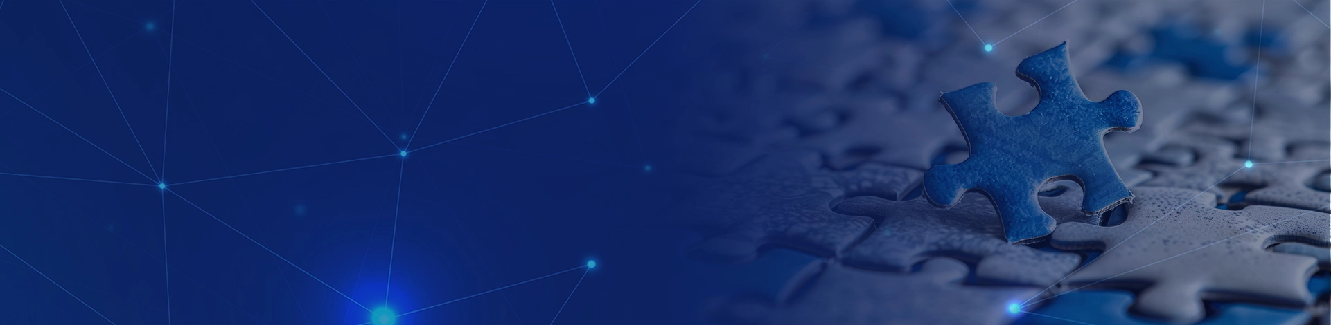 Customized Solutions to Transform Your Business